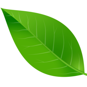 Chargement Chargement