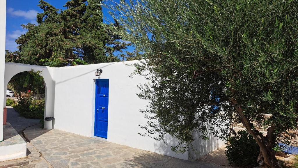 Studio with Terrace Studio with Terrace